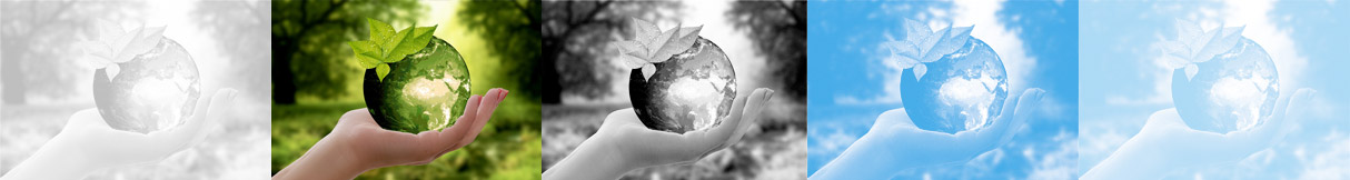 Ecosostenibilità